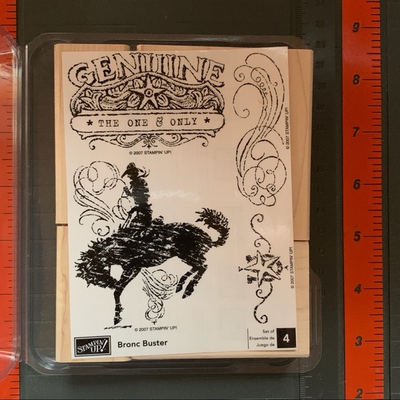 Stampin’ Up! BRONC BUSTER